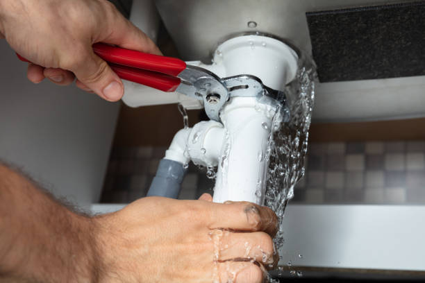 Best Flooded house restoration  in Kalona, IA