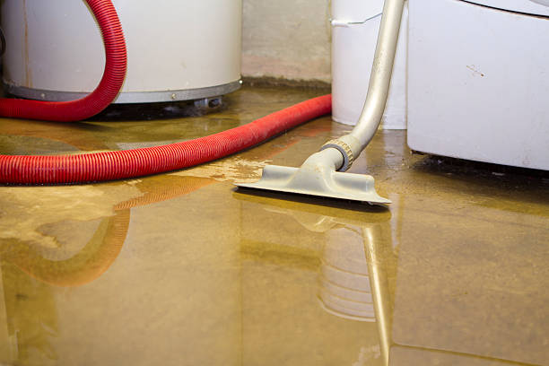  Kalona, IA Water damage restoration Pros